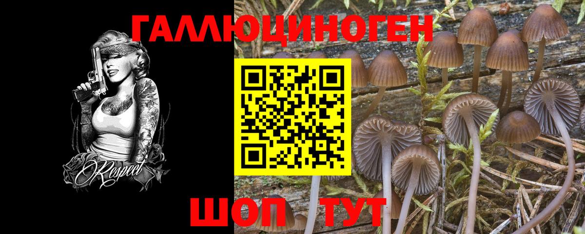 Галлюциногенные грибы Magic Shrooms Нижнеудинск
