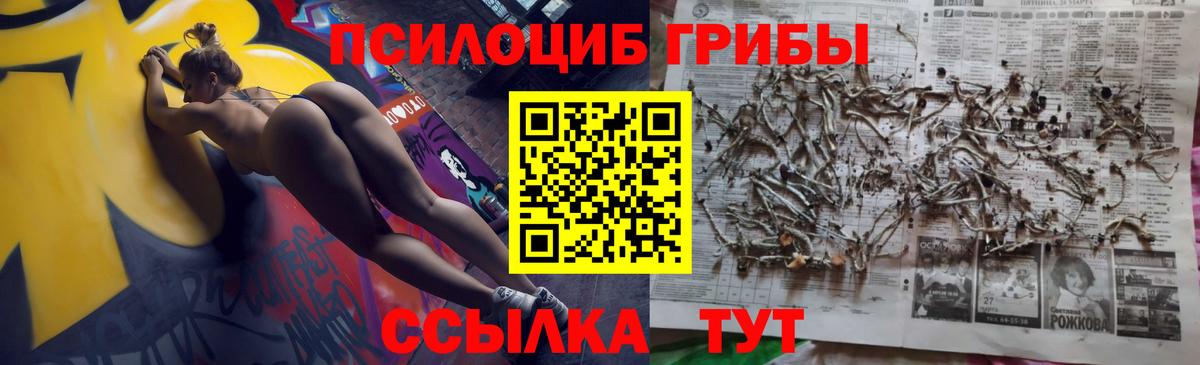 закладки  Вход с VPN  Псилоцибиновые грибы MAGIC MUSHROOMS  Нижнеудинск  Псилоцибиновые грибы Psilocybe 