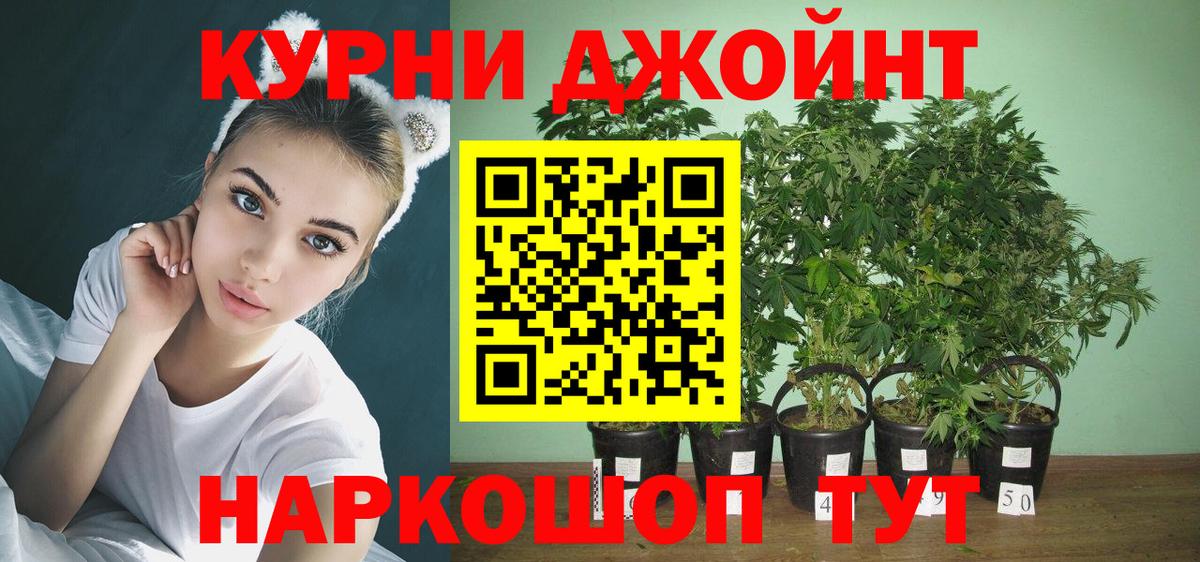 Бошки марихуана гибрид  Вход с VPN  Бошки марихуана план  Нижнеудинск 
